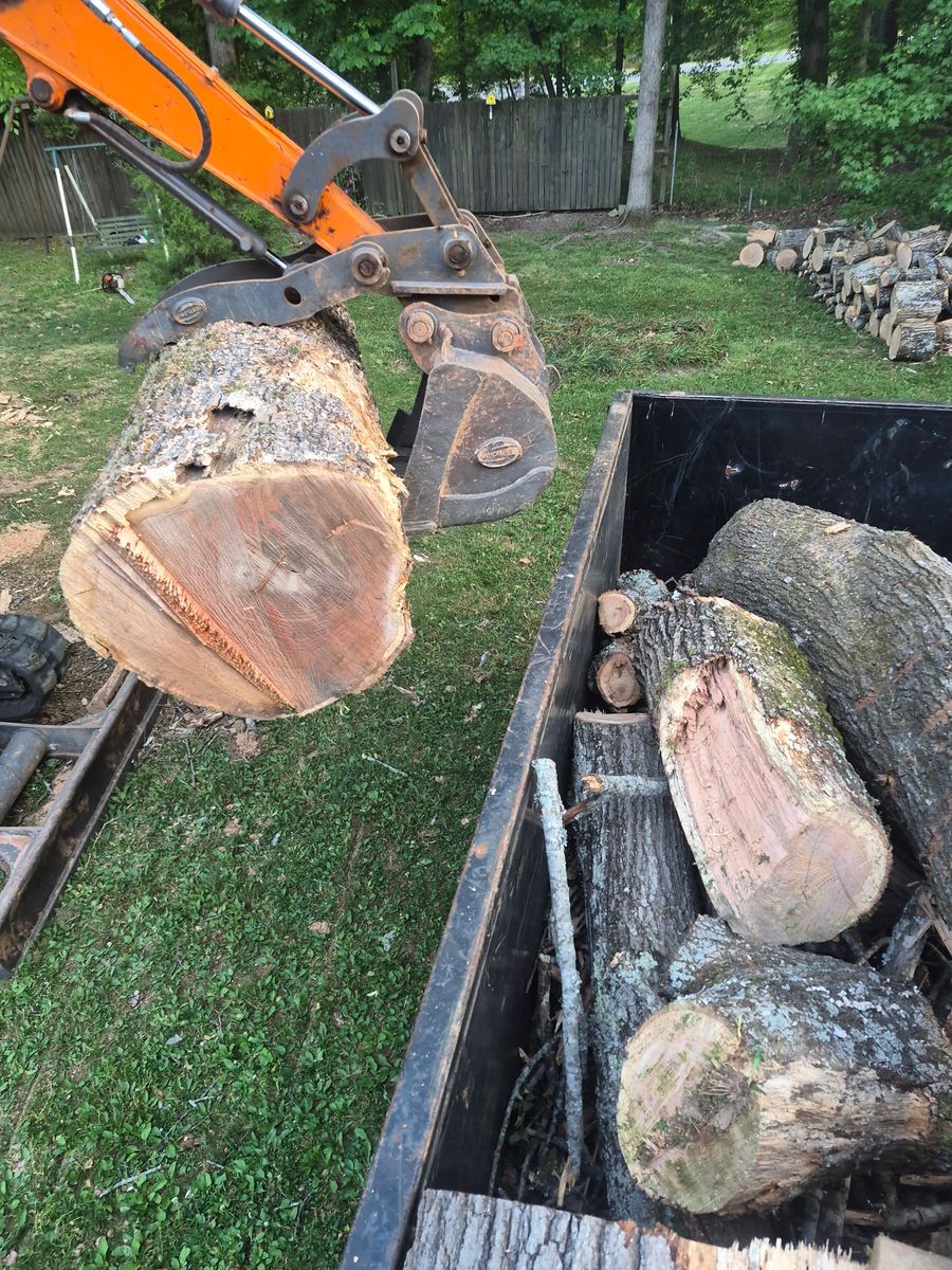 Tree Removal for Lanes Outdoor Solutions in Lexington, NC