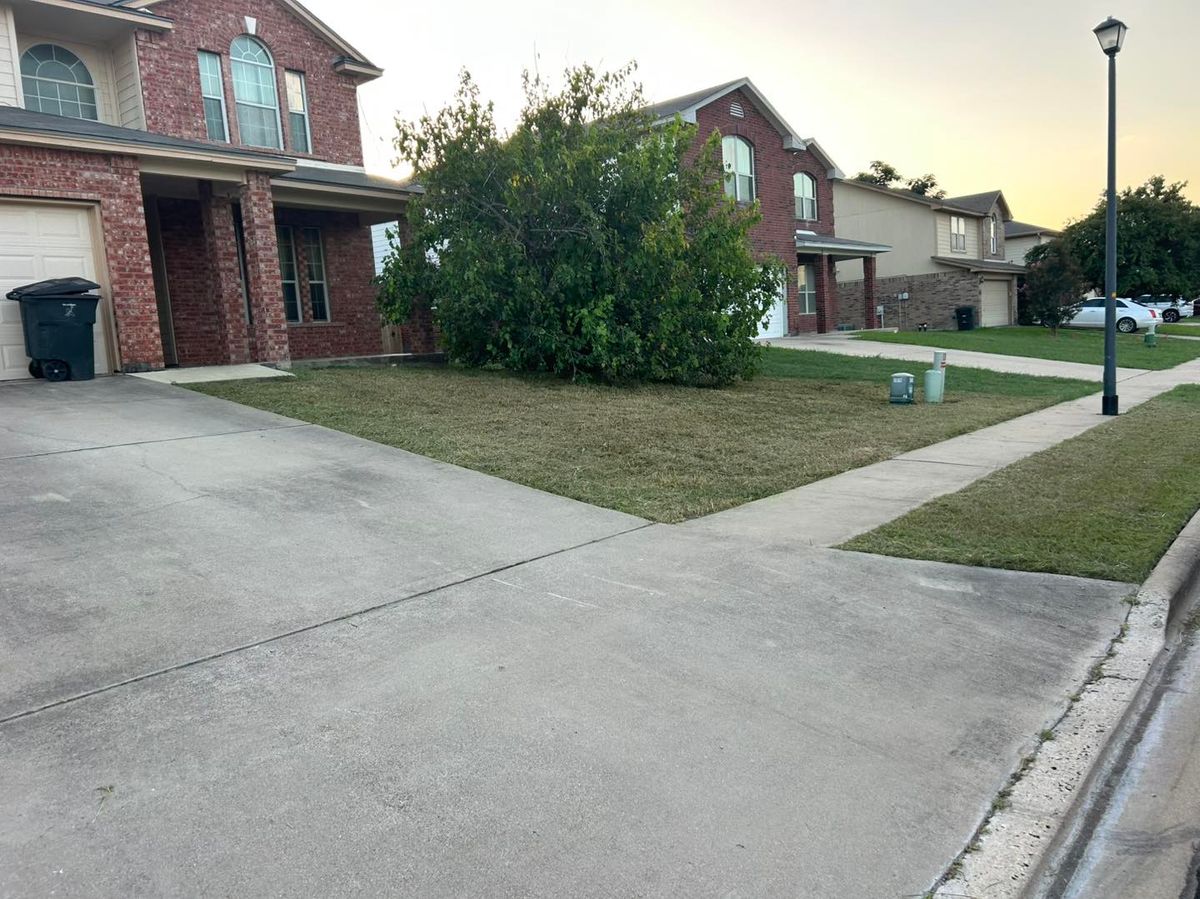 Commercial Lawn Care for D’s Lawncare in Killeen, TX