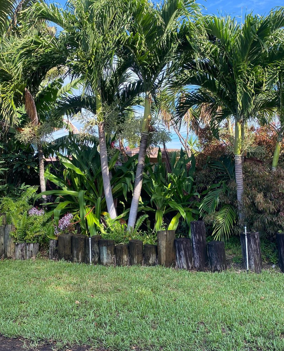 Tree Trimming for Green Touch Property Maintenance in Broward County, FL