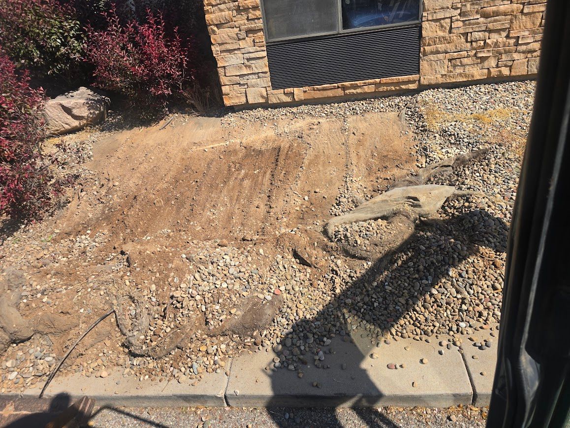 Excavation for LRS: Landscape, Rescue, Snow in Silt, CO