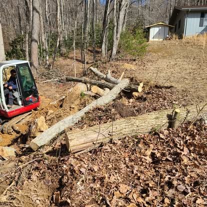 Tree Removal for Lopez Landscaping and Tree Service  in Waynesville, NC