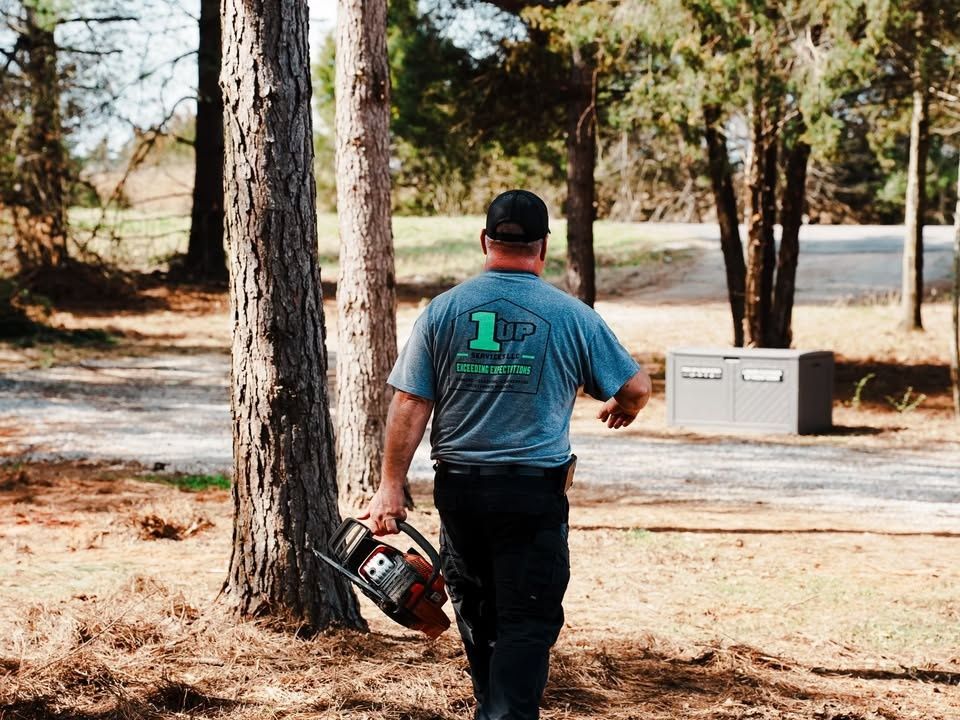Land Clearing for 1UP Services LLC in Starr, SC