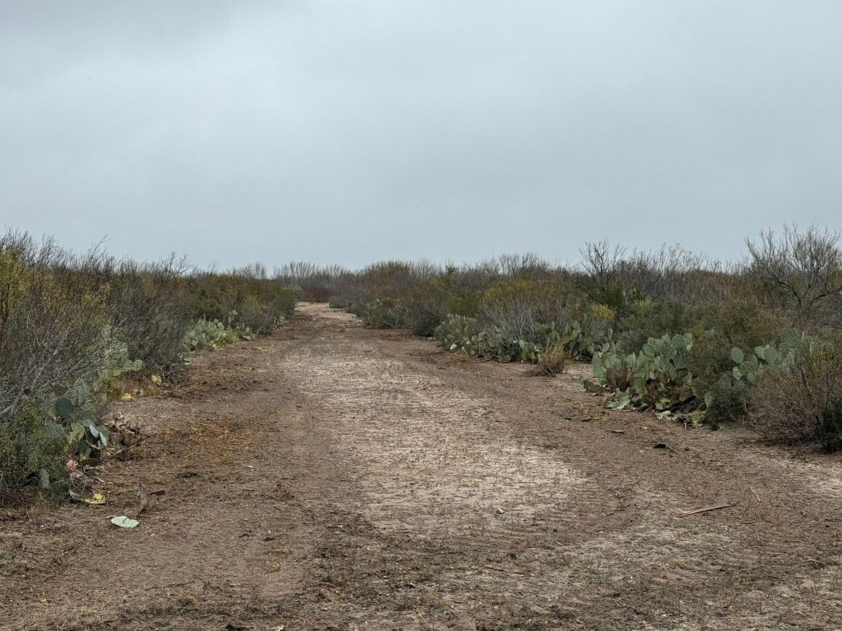 Roadbeds for Strause Land Improvement & Construction in George West, TX
