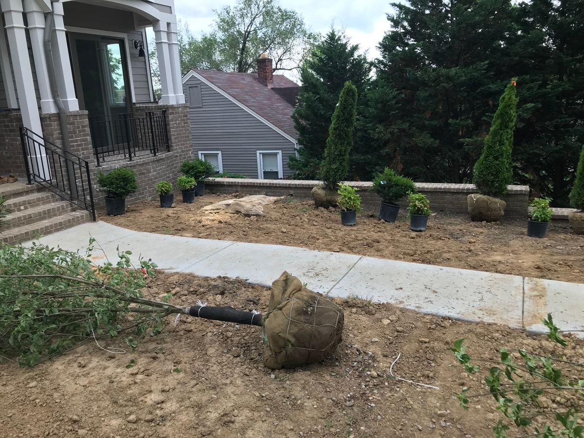 Shrub Trimming for Grass Management in Nashville, TN