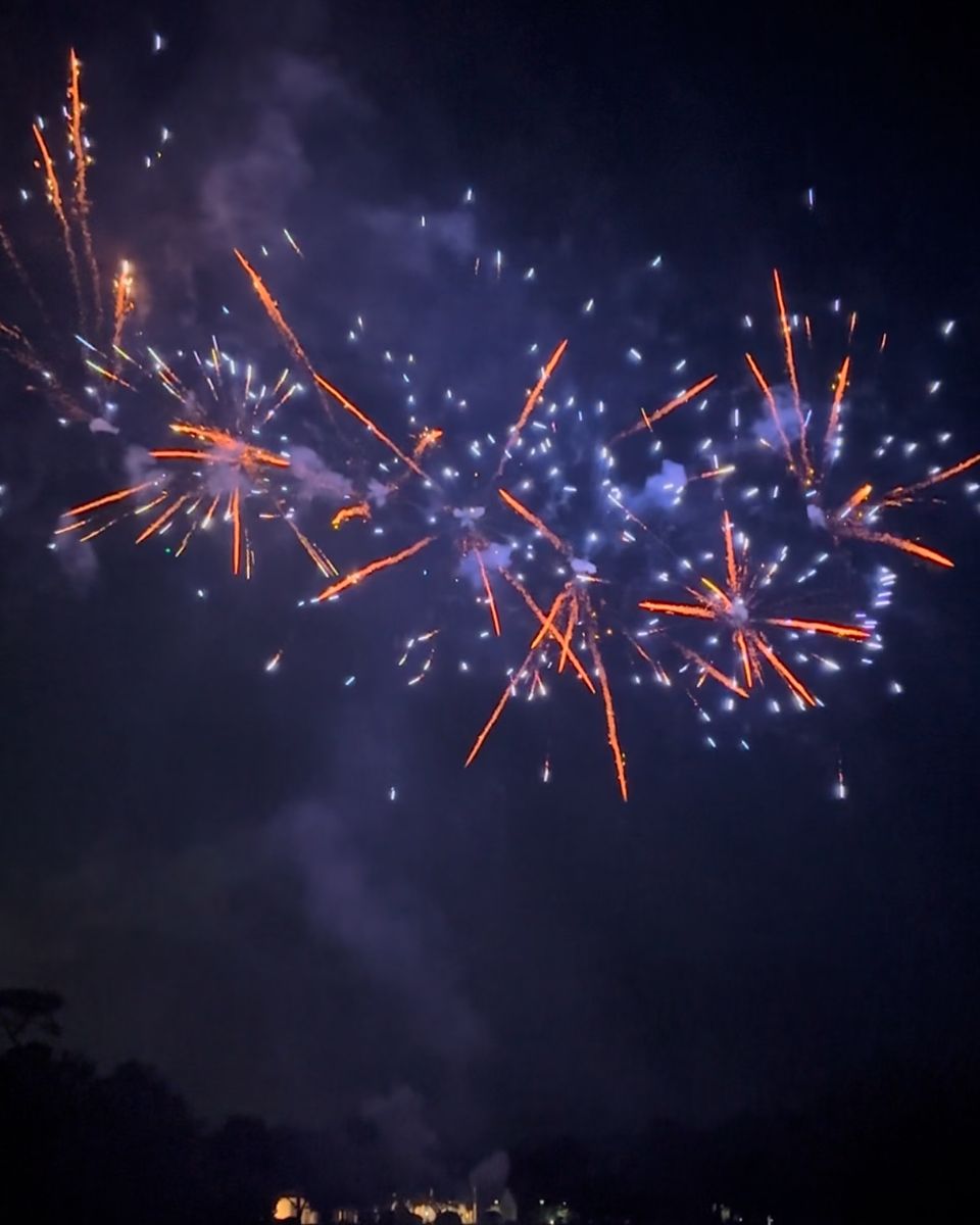 Google‘s recommendation for Sky High Pyrotechnics & Fireworks Serving South Carolina, Georgia and Delaware. Wedding fireworks display company, Fourth of July fireworks display, gender reveal fireworks display, near me, Myrtle Beach Charleston Horry County Georgetown County. in Horry County, SC