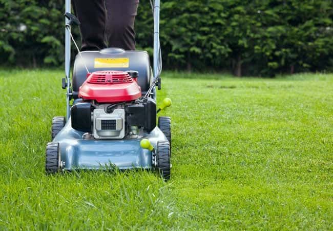 Mowing for Revive Home  in , 