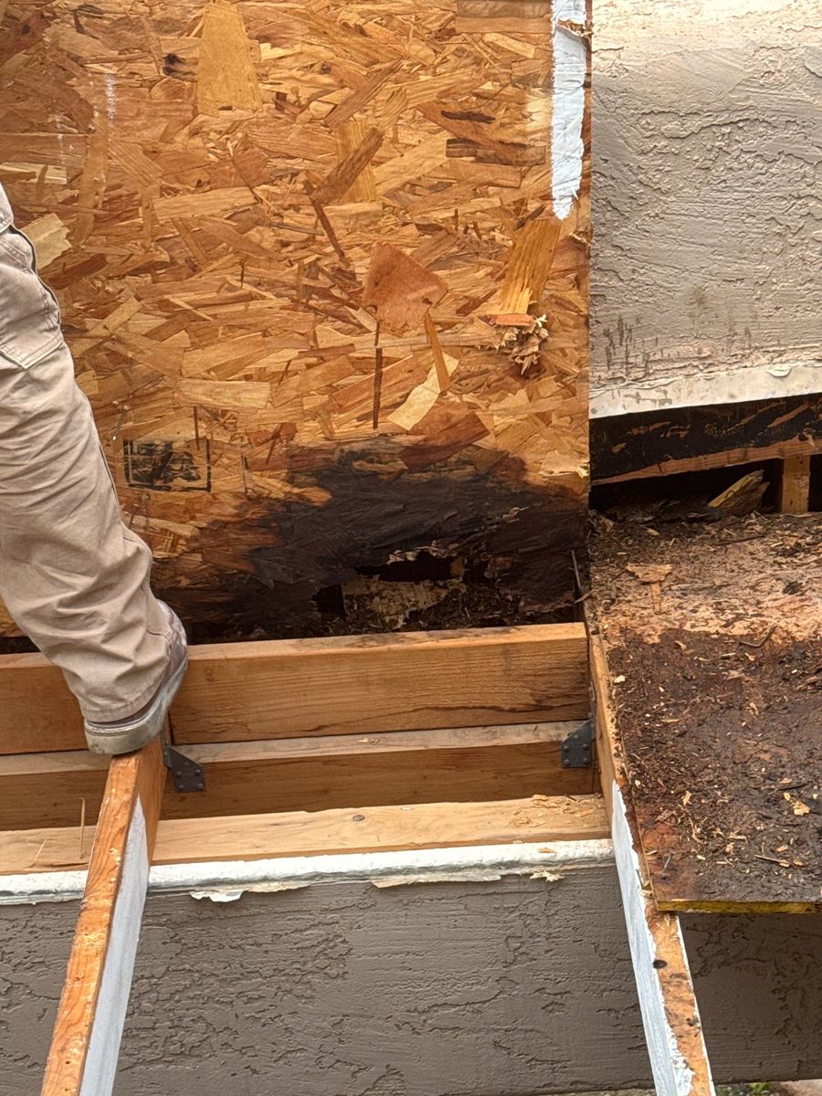 Mold Remediation for Hendershot Construction in Maricopa, AZ