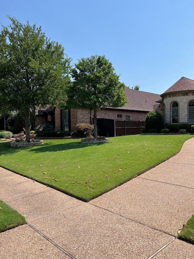 Tree Trimming for Imber’s Tree Service LLC in Arlington, TX