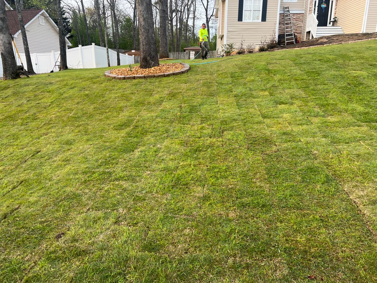 Sod Installation for GA Supreme Landscaping in Smyrna, GA