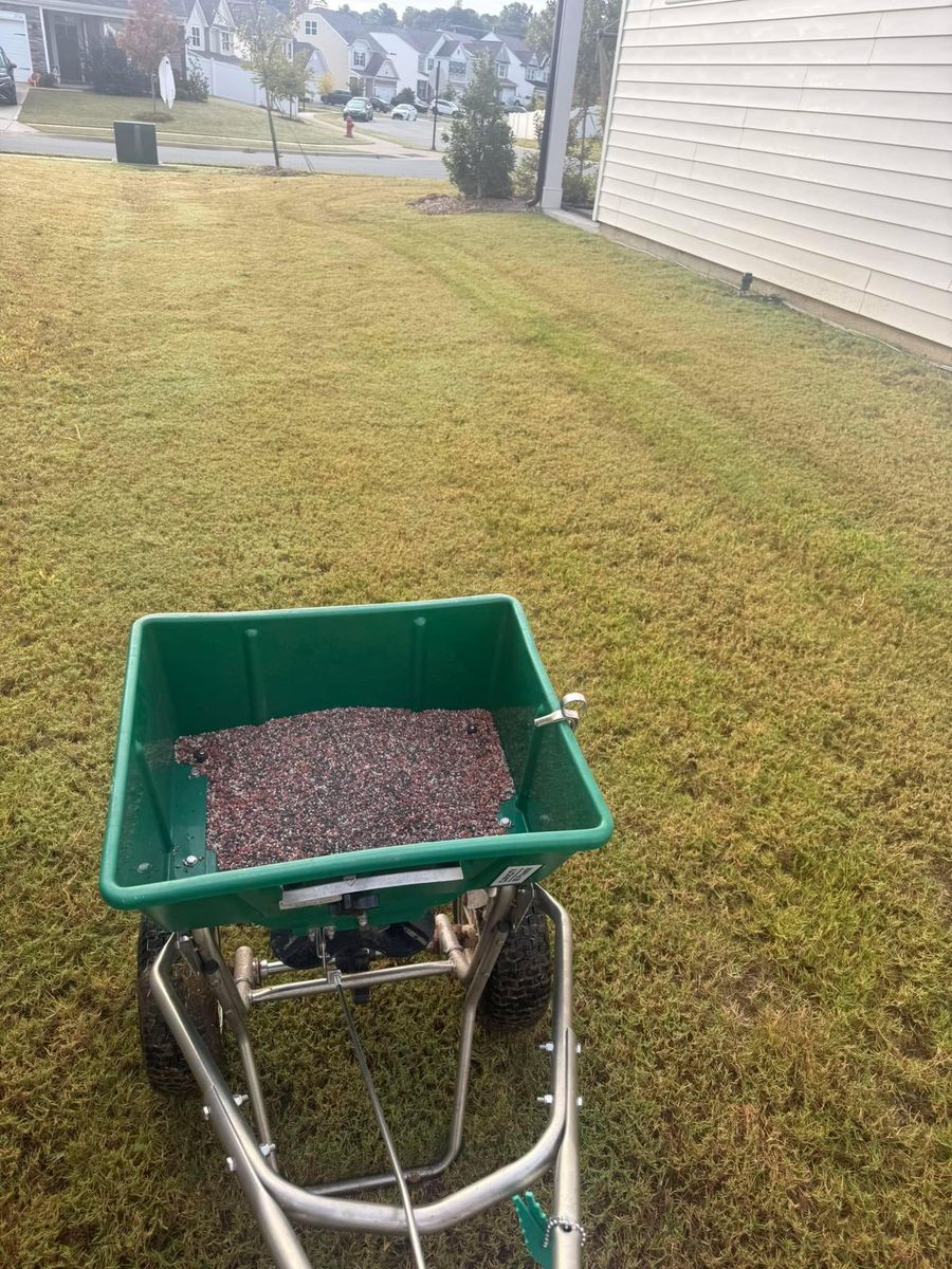 Other Lawn Maintenance for America's Top Pick Lawn & Landscaping in Gastonia, NC