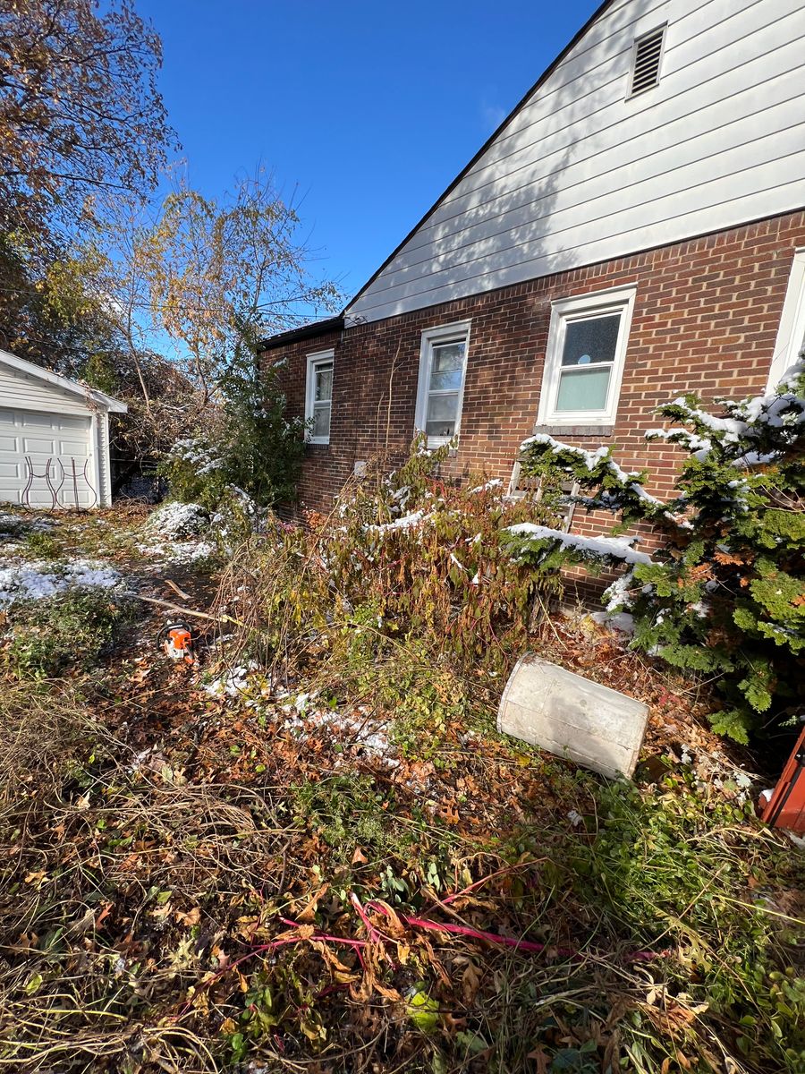 Land clearing for Alltimate Outdoor Services in Warren, MI