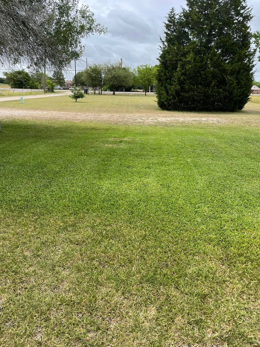 Routine Lawn Care for C & C Lawn Care and Maintenance in New Braunfels, TX