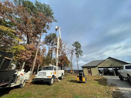 Tree Removal for Ross Family Tree Service LLC  in Hohenwald, TN