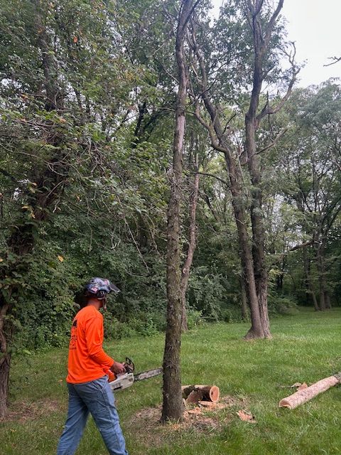 Tree Trimming for Cross Family Tree Service in Kearney, MO