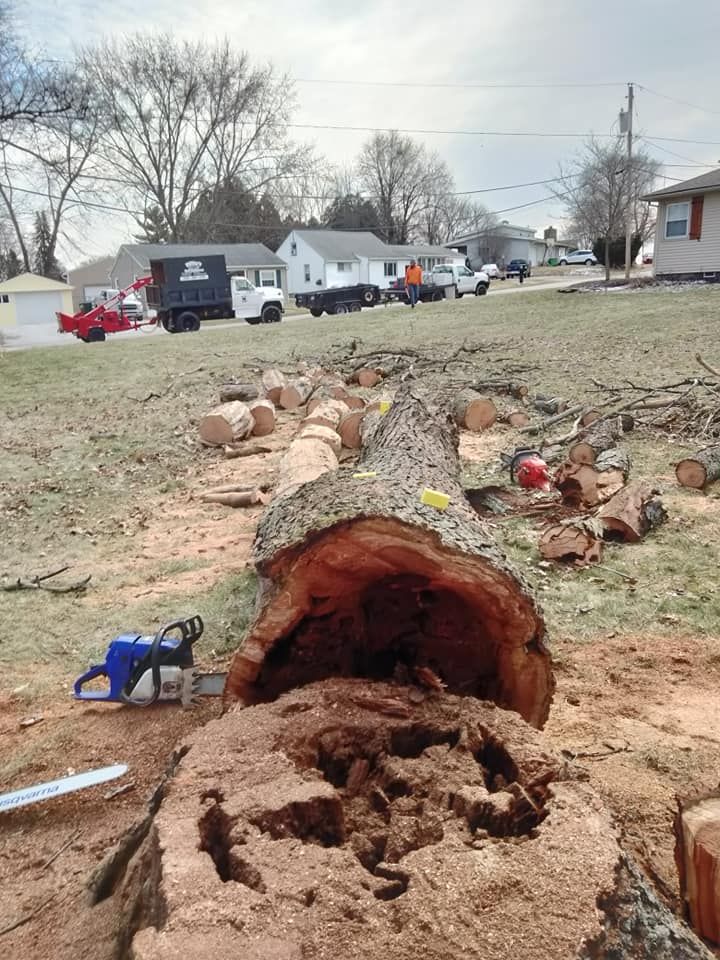 Tree Removal for Billiter's Tree Service, LLC in Rootstown, Ohio