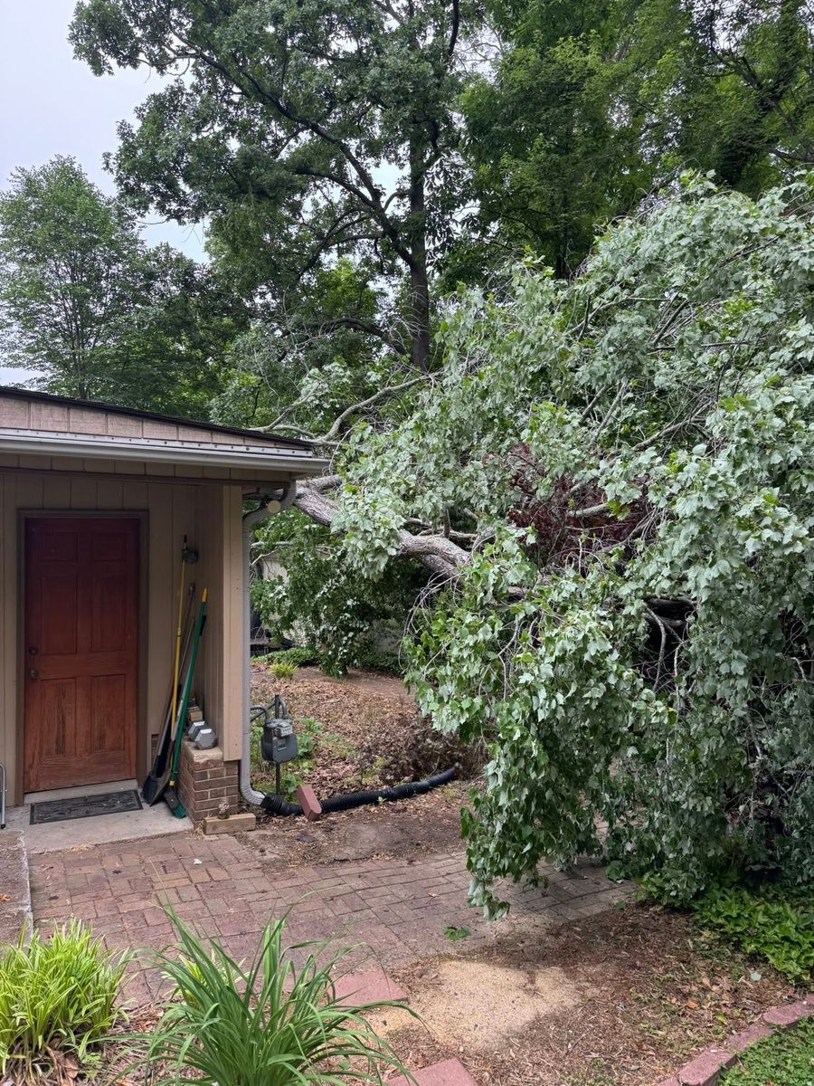 Tree Removal for Meade tree service in Greensboro, NC
