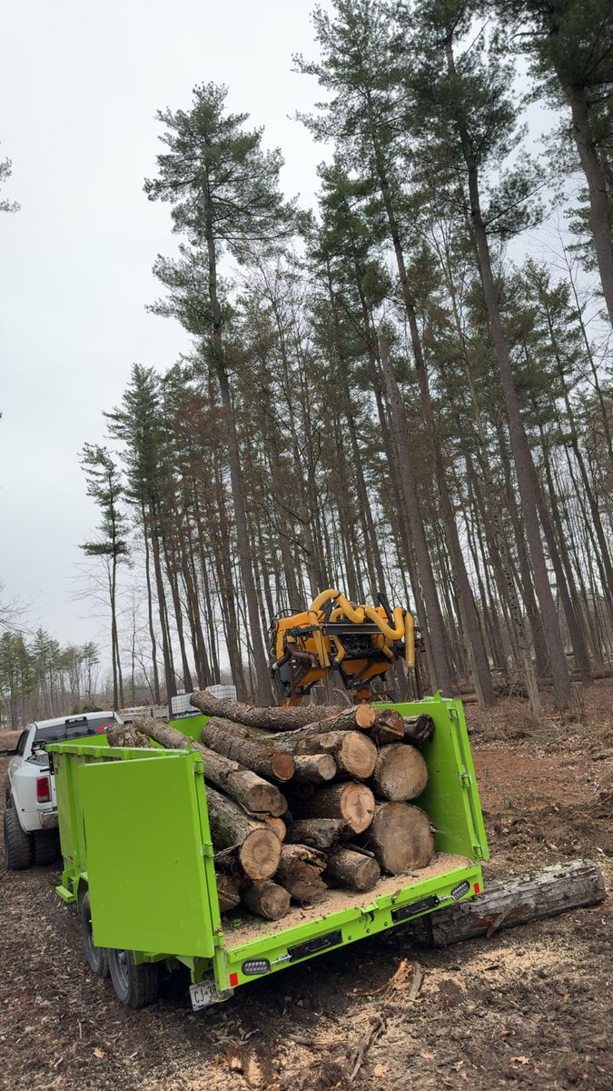 Firewood Cutting and Delivery for Sterlings Tree Removal in Cobleskill, New York