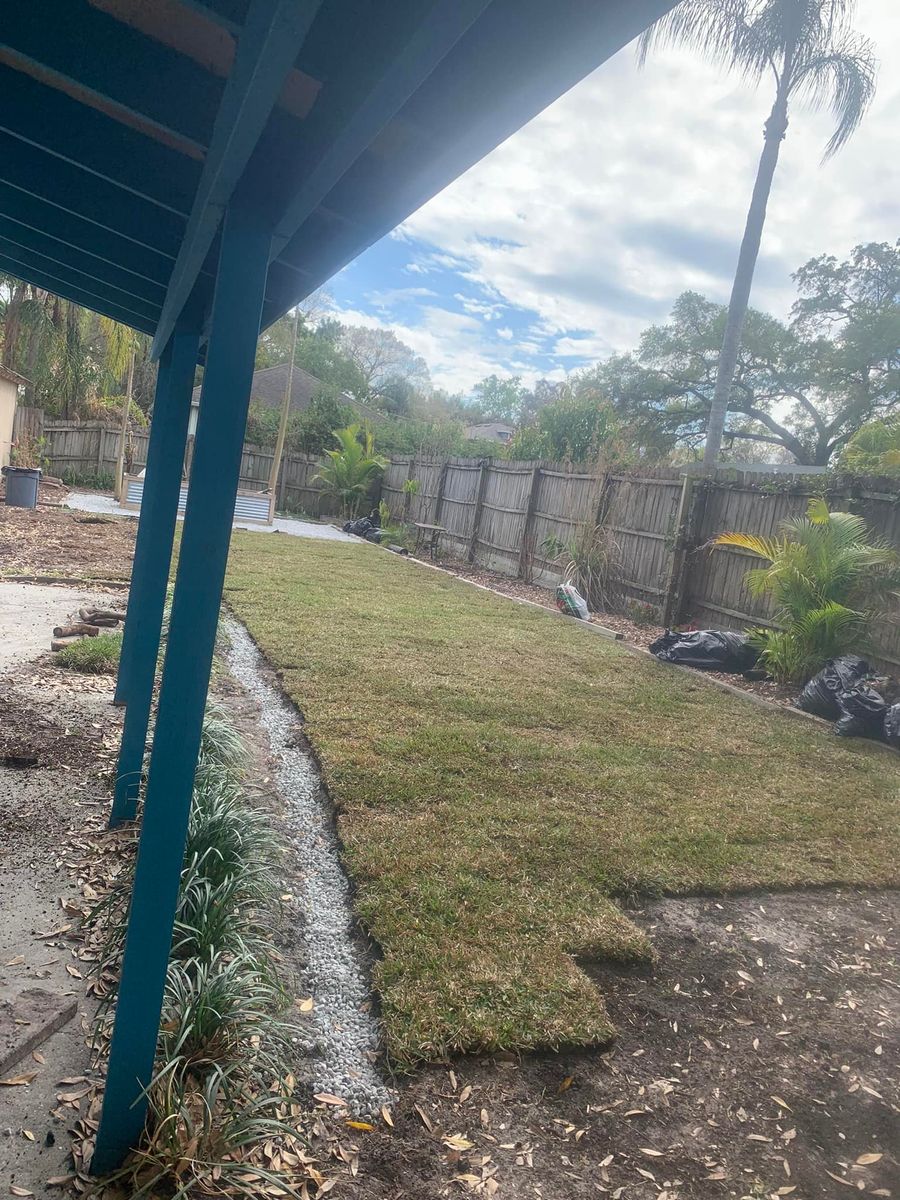 Sod Installation  for Affordable Property Preservation Services in Tampa, Florida
