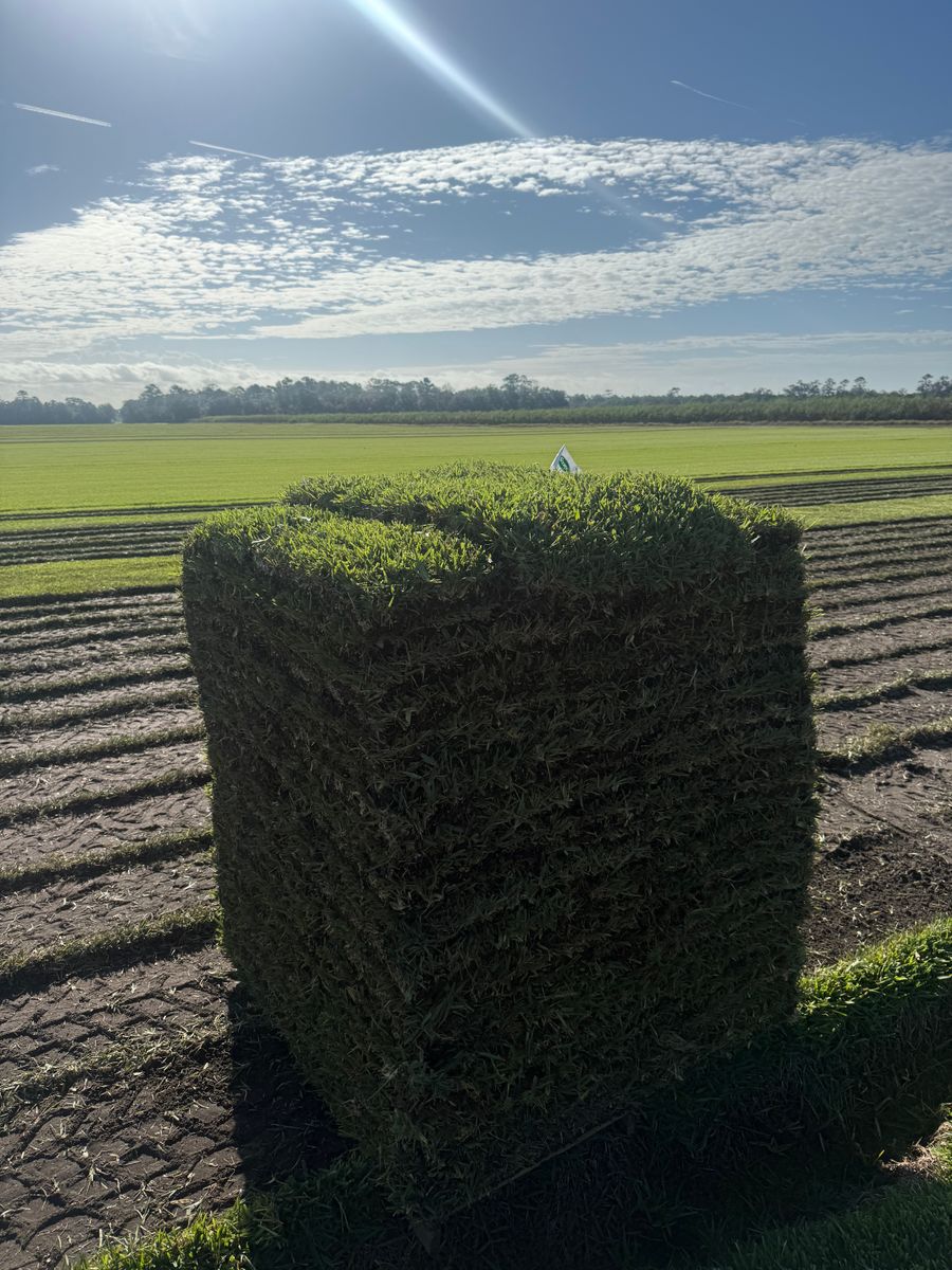 Silt Fence & Erosion Control for AL Dirtworks LLC in St. Augustine, FL