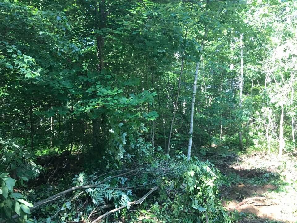 Debris Removal for CM Smith Trucking in Townsend, MA