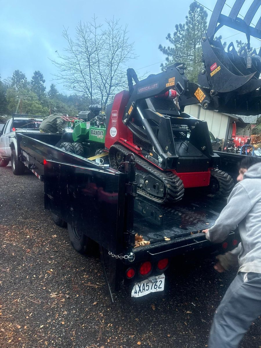 Tree Services for The Tree Fairy in Julian, CA