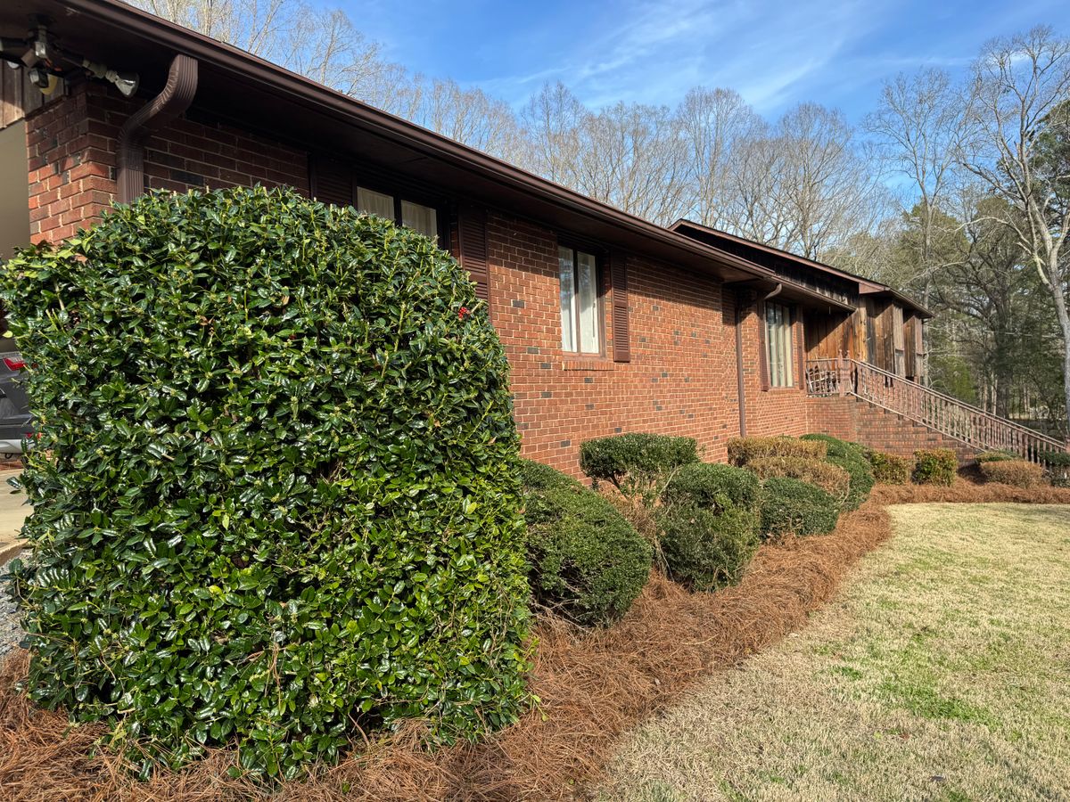 Shrub Trimming for Chavez Landscaping in Pittsboro, NC