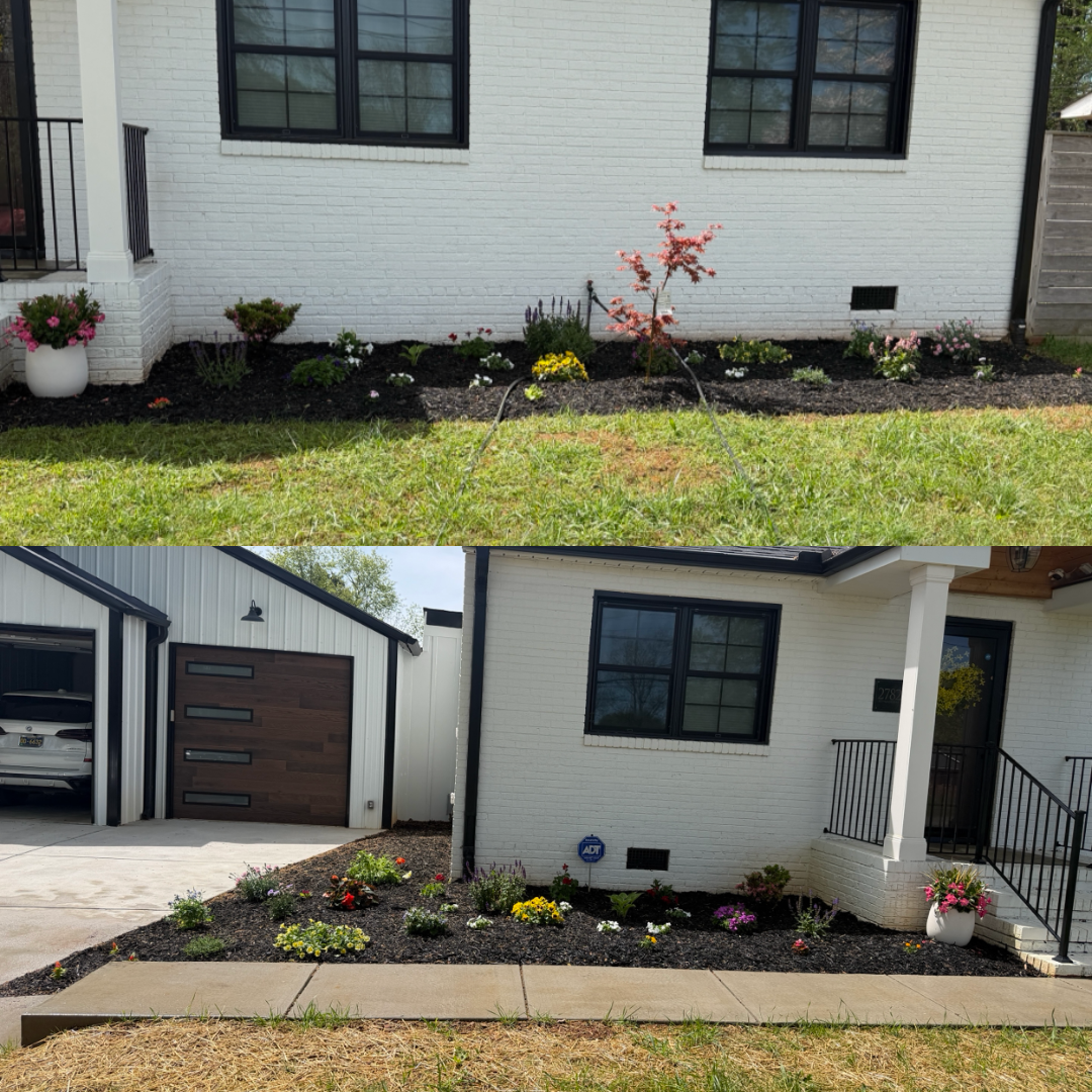 Mulching and pine needling for Holloway Yard Company in Winston-Salem, NC