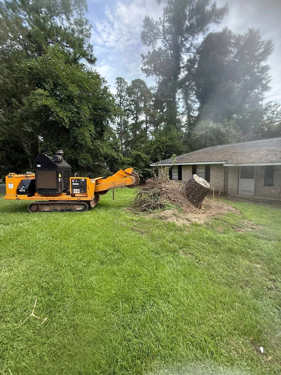 Stump Excavation for Dozier Stump Grinding in Augusta, GA