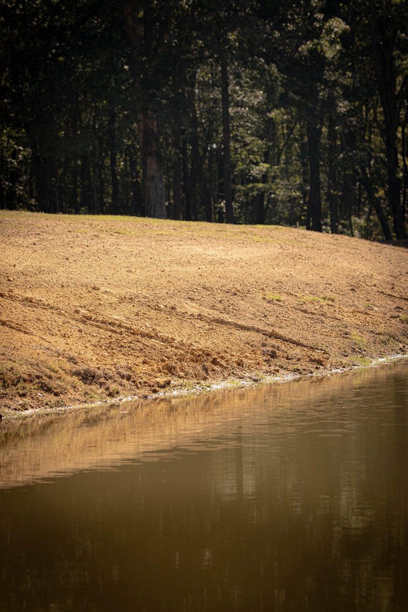 Excavation for Collins Constructors in Fyffe, AL