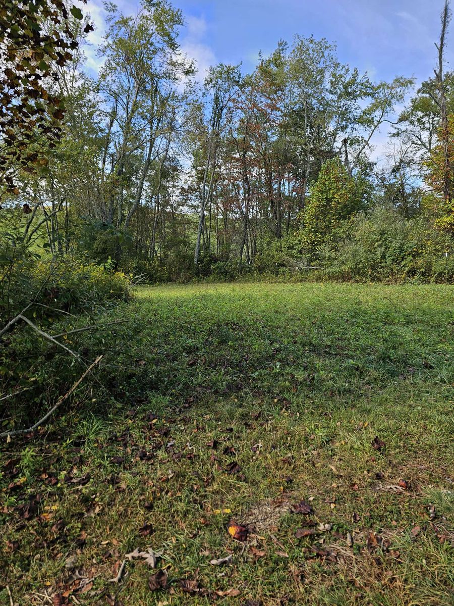 Steep Slope Mowing for Mountain Goat Land Management in Galax, VA