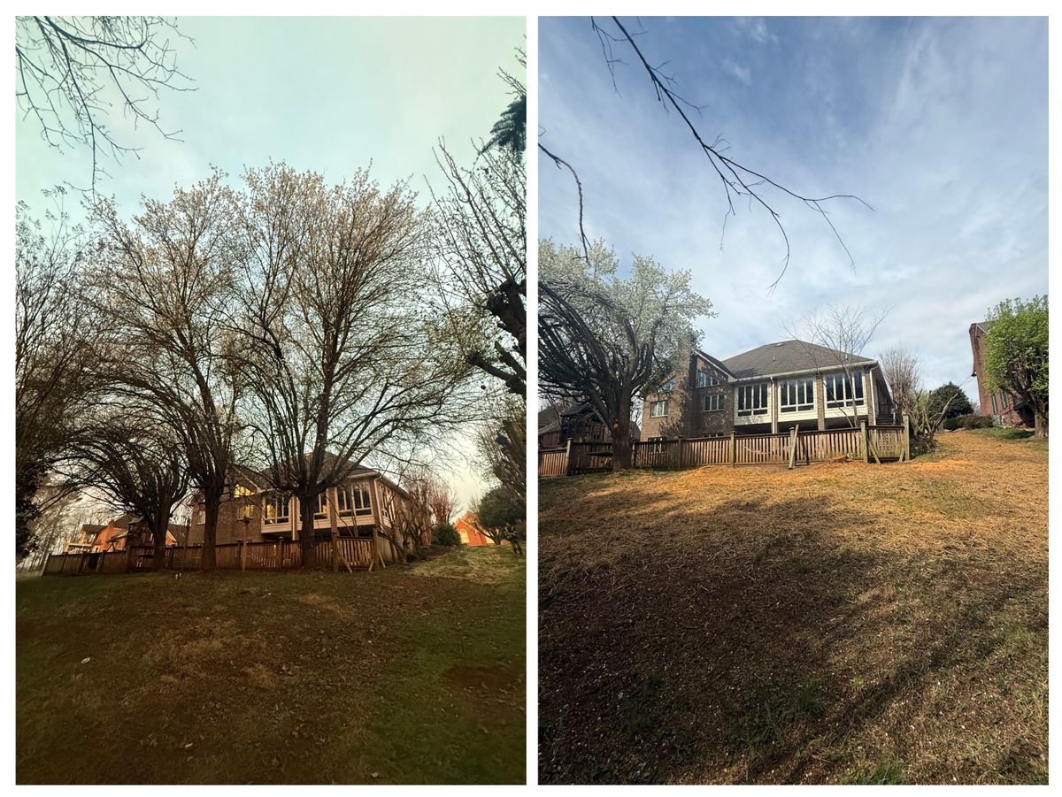 Tree trimming for Wesleys Landscaping in Clinton, TN