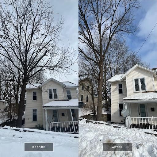 Tree Trimming for Licensed to Cut Tree Service in Athens, PA