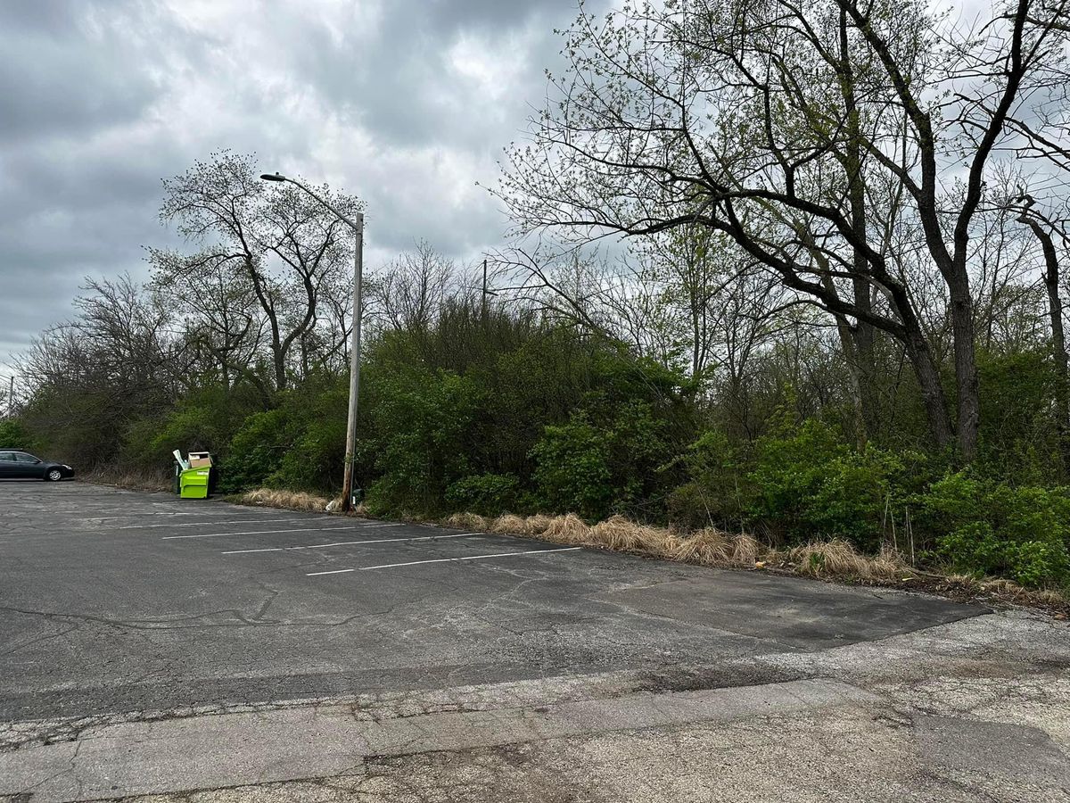 Power Washing for Greenlee & Family Landscaping Services in Peoria, IL