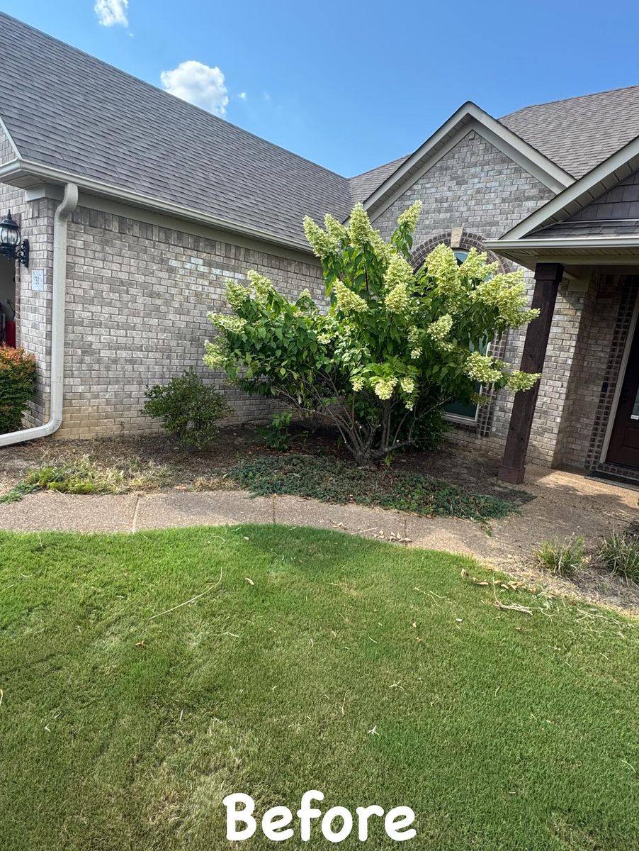 Shrub Trimming for Kelso's Lawn Maintenance in Jackson, TN
