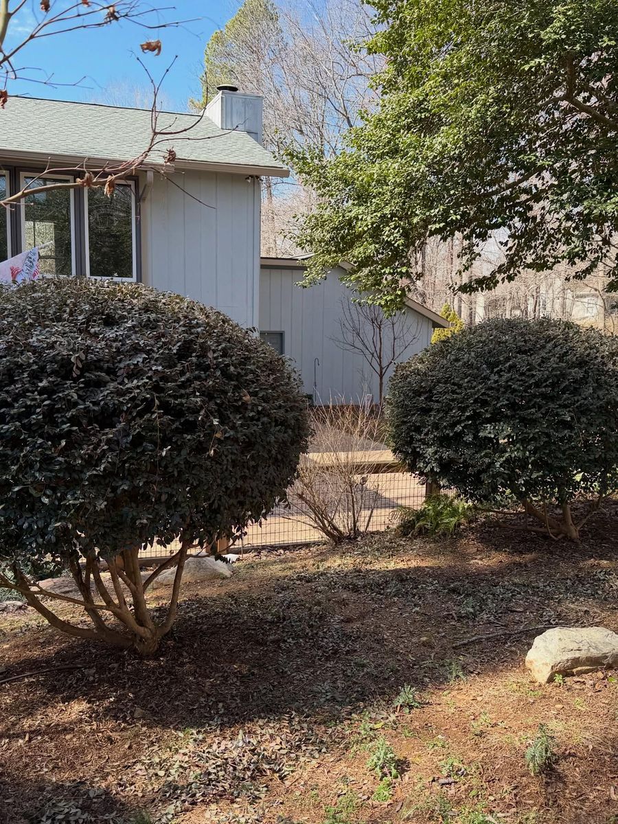 Mulching and pine needling for Holloway Yard Company in Greensboro, NC