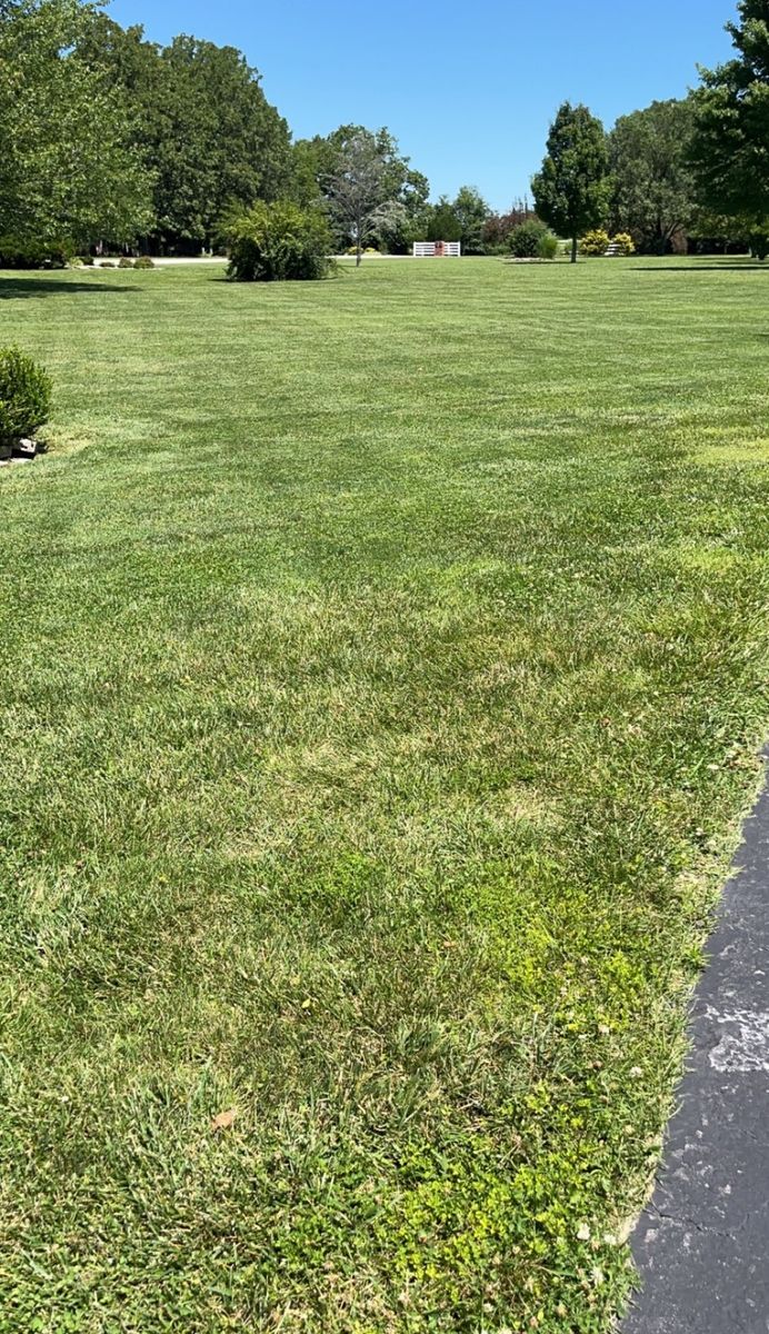 Cleanups for Wright Lawn Services in Ozark, MO