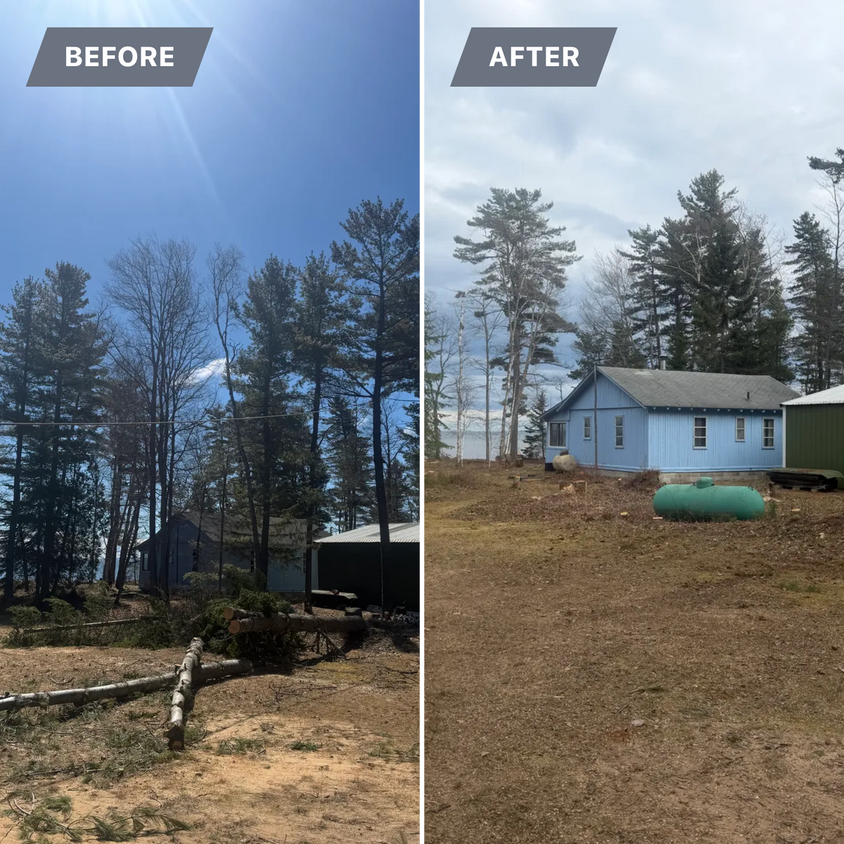Tree Removal for J&Q Tree Service in Paradise, MI