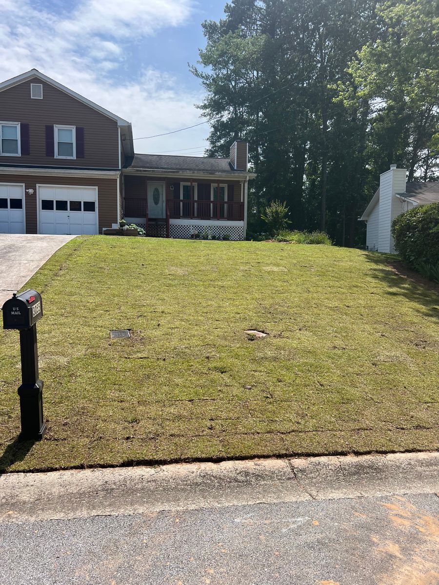Lawn Maintenance for Adams Landscape Management Group LLC. in Loganville, GA