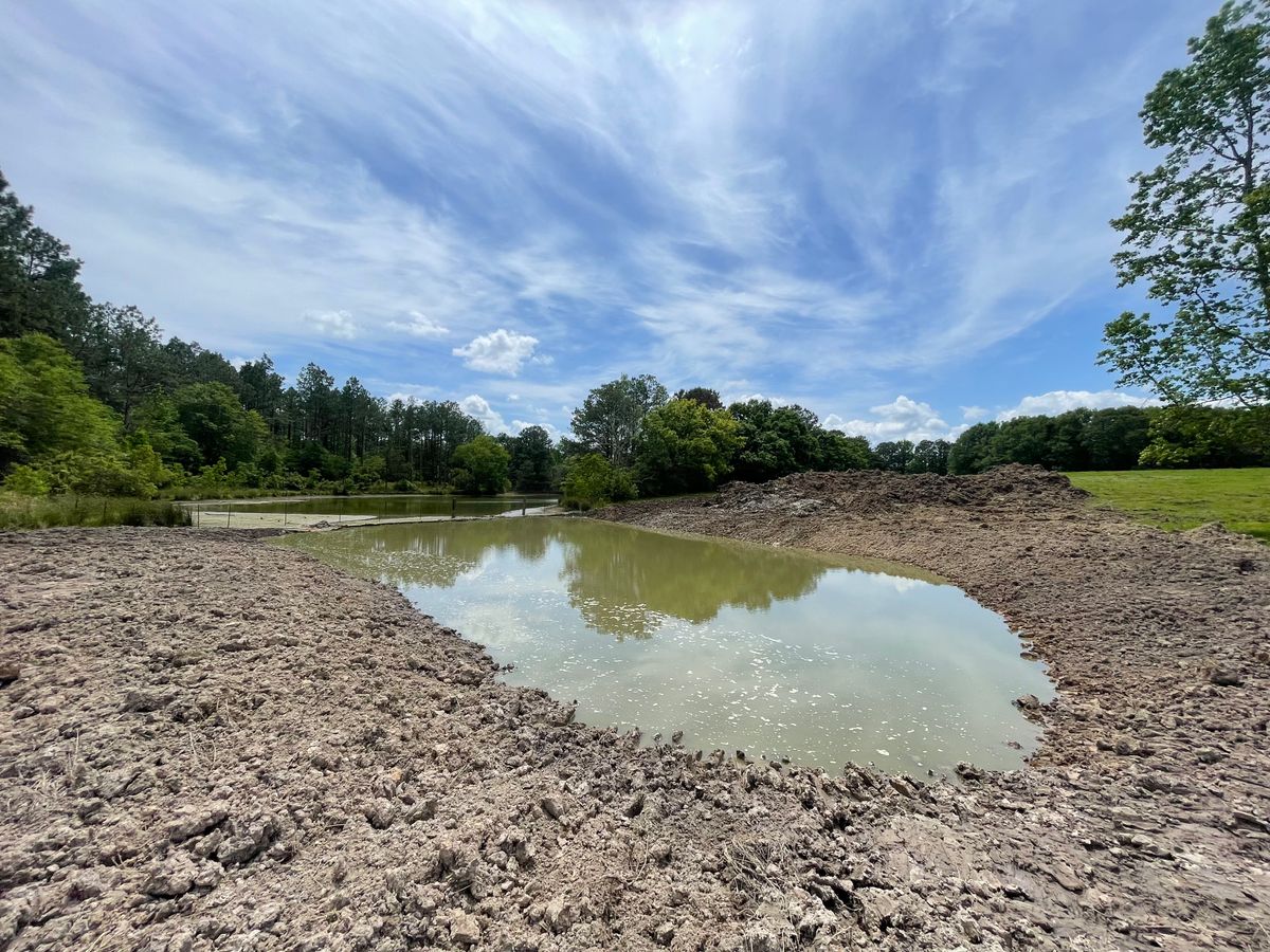 Land Clearing & Demolition for Platinum Construction llc in Pearl River, MS