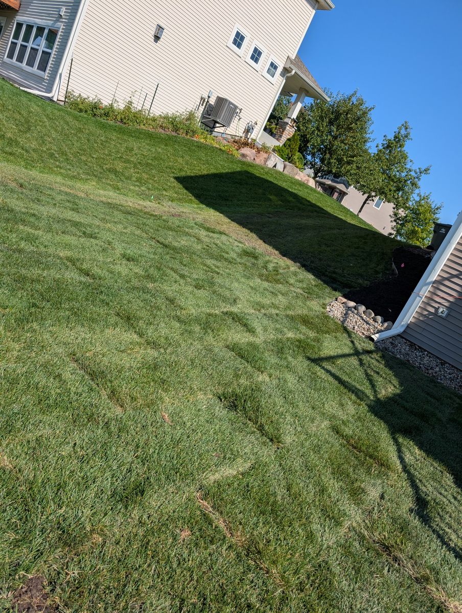 Lawn Care for Urban Green Lawncare & Snow Removal in Lakeville, MN