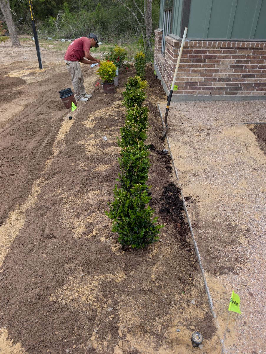 Tree & Shrub Care for Brazos Valley Greenscapes in College Station, TX
