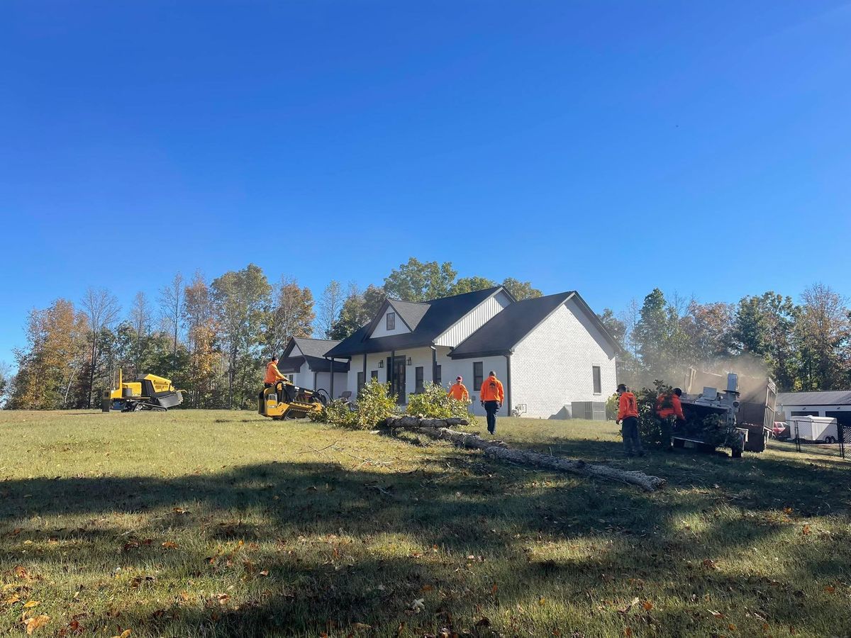 Tree Trimming for Ross Family Tree Service LLC  in Hohenwald, TN