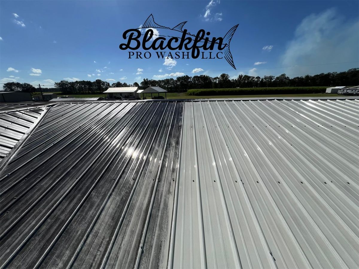 Roof Washing for Blackfin Pro Wash in Houma, LA
