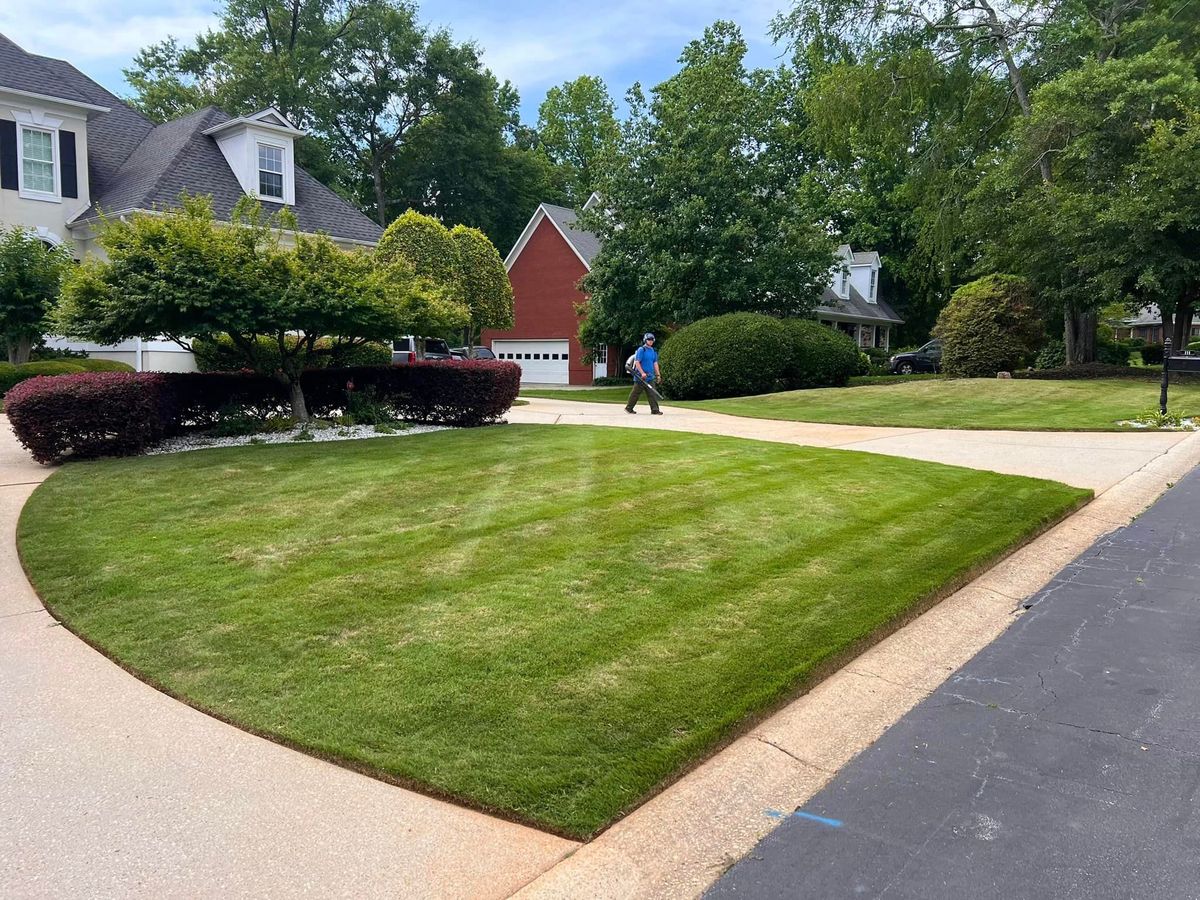 Shrubbery Maintenance for Sanders Landscape & Maintenance in McDonough, GA