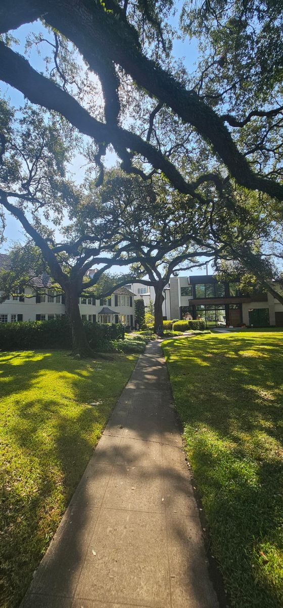 Fall Clean Up for Servin's Tree Care  in Houston, TX