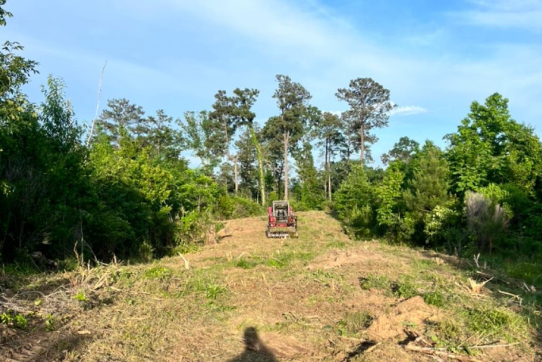 Forestry Mulching for Big Munchie Landworx in Jackson, MS
