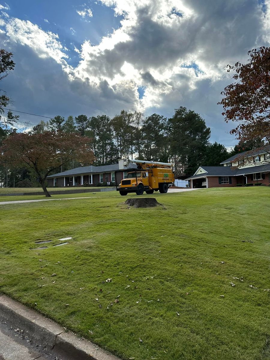 Fall Clean Up for ArborMax in Thomaston, GA