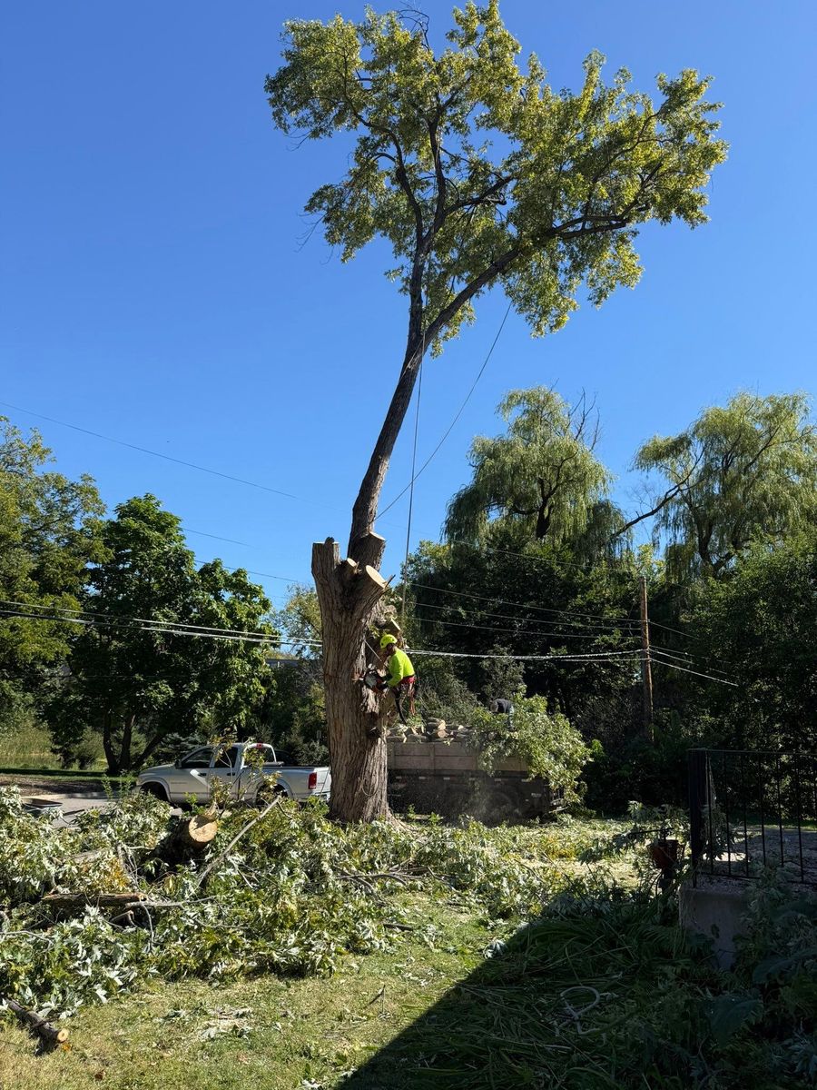 Seasonal Clean Up for Titan Landscaping in Rosemount, MN