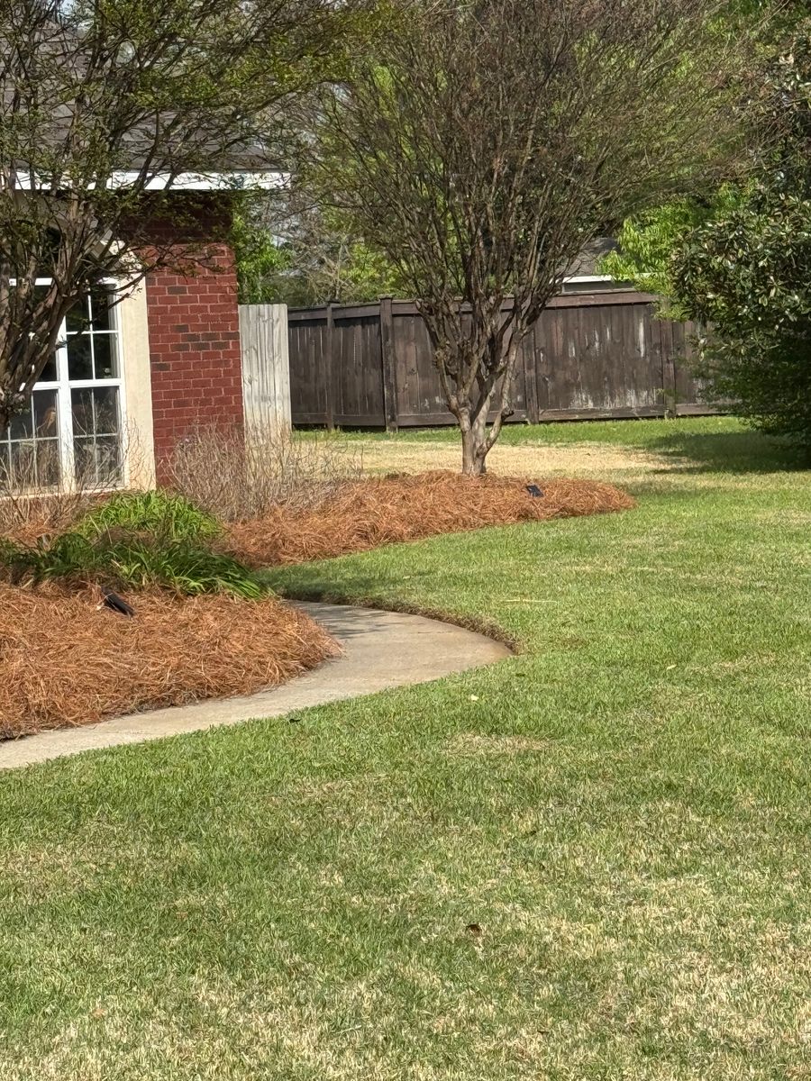 Turf, Ornamental, and Irrigation for Camalett Services in Perry, GA