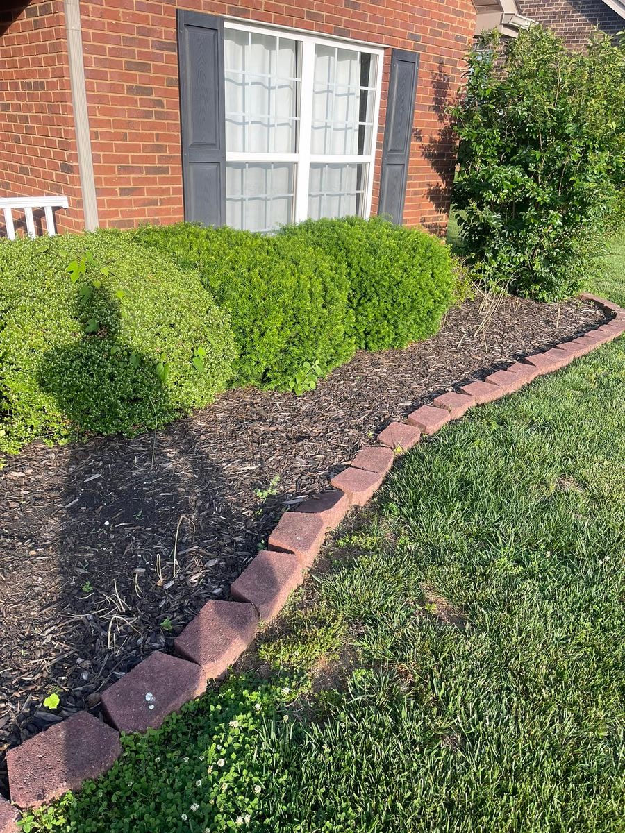 Shrub Trimming for R&M Property Maintenance in White Pine, TN